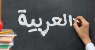 تعليمات وزارية بتعميم استعمال اللغة العربية