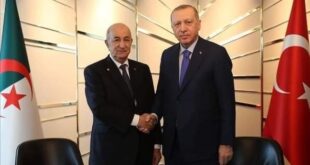 أردوغان يساند تبون ضد ماكرون