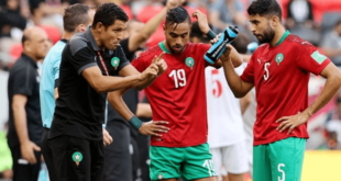 بسبب فوز الجزائر .. مدرب منتخب المغرب يتشابك مع لاعبيه