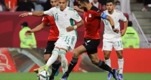 مهاجم المنتخب المصري مروان حمدي يعترف بقوة محاربي الصحراء