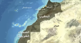 حقائق تاريخية مرّة.. الجيش الجزائري يفضح الكيان المغربي