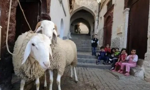 الجمعية الفلكية الإماراتية هذا موعد عيد الأضحى المبارك ووقفة عرفة