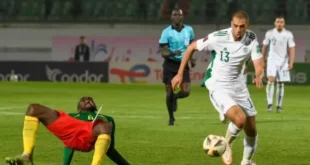 بيان مرتقب للفاف بشأن إقصاء المنتخب الجزائري من التأهل للمونديال قطر