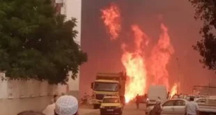 معاينة أضرار الحرائق وزيرا الفلاحة والتضامن في ولاية سوق اهراس