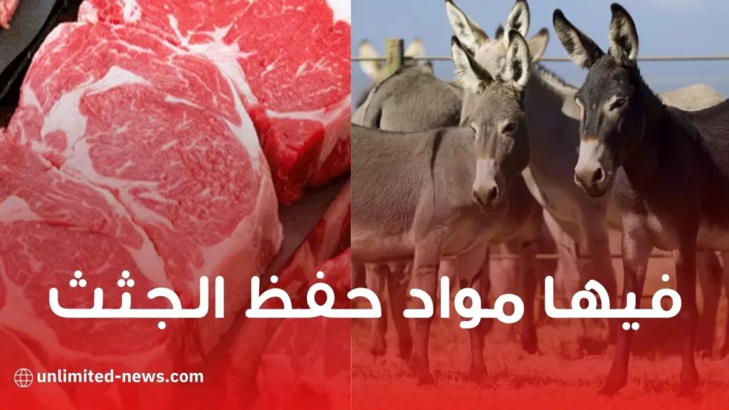 ولاية وهران محل قصابة يسوّق لحوم حمير في حي الصباح