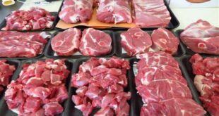 وزير الفلاحة إتخاذ إجراءات لخفض أسعار اللحوم والقضاء على المضاربة