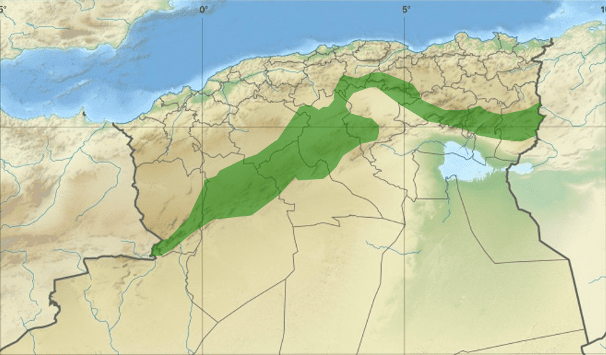 السد الأخضر في الجزائر أهميته وتأثيره على البيئة والاقتصاد