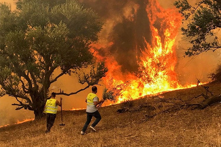 حالة تأهب قصوى في مكافحة حرائق الغابات بسبب ارتفاع درجات الحرارة