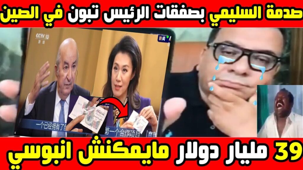 منار السليمي يعبر عن صدمتها من صفقات تبون مع الصين بقيمة 39 مليار دولار