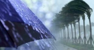 تساقط أمطار رعدية ورياح قوية في عدة ولايات جنوب الجزائر اليوم