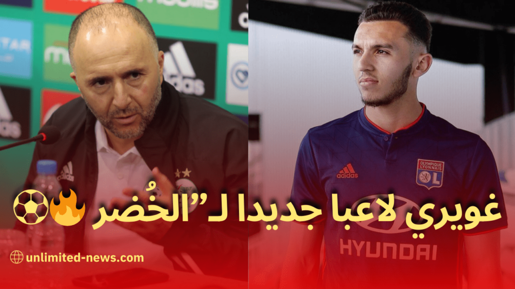 لاعب نادي رين أمين غويري يغير جنسيته الرياضية لصالح الخضر