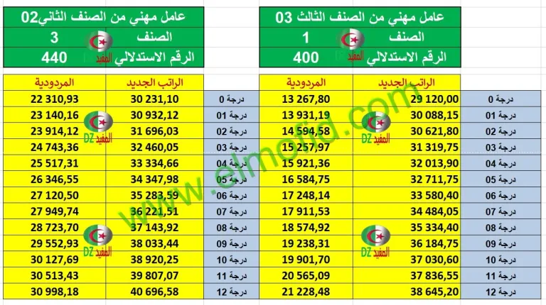 زيادة الأجور في الجزائر 2024 خطوات حكومية استباقية لتعزيز القدرة الشرائية وتحفيز الاقتصاد