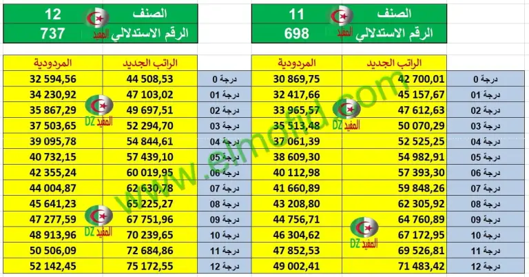 زيادة الأجور في الجزائر 2024 خطوات حكومية استباقية لتعزيز القدرة الشرائية وتحفيز الاقتصاد