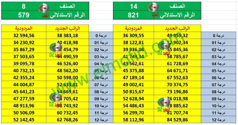 زيادة الأجور في الجزائر 2024 خطوات حكومية استباقية لتعزيز القدرة الشرائية وتحفيز الاقتصاد