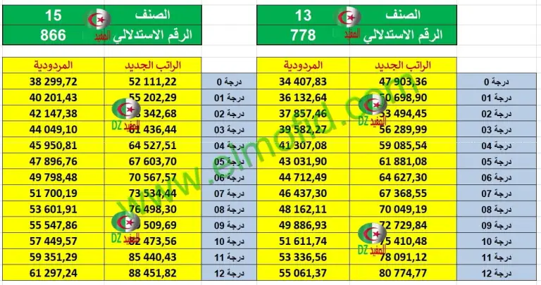 زيادة الأجور في الجزائر 2024 خطوات حكومية استباقية لتعزيز القدرة الشرائية وتحفيز الاقتصاد