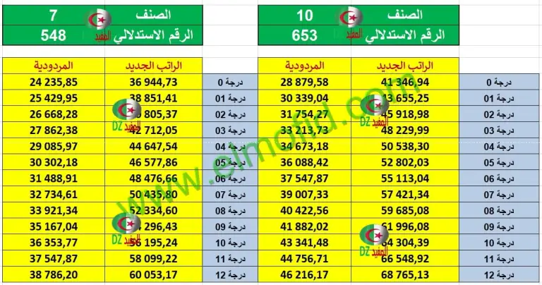 زيادة الأجور في الجزائر 2024 خطوات حكومية استباقية لتعزيز القدرة الشرائية وتحفيز الاقتصاد