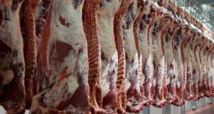 استعدادات الجزائر لرمضان تضاعف واردات اللحوم الحمراء والبيضاء