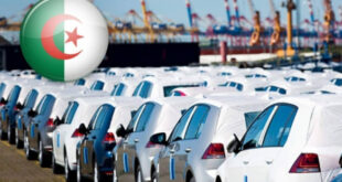 توقعات ارتفاع تسويق ربع مليون سيارة جديدة في السوق الجزائرية لعام 2024