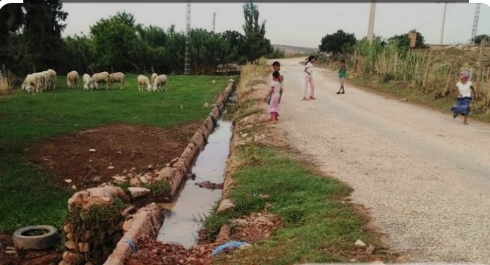 مشاكل سكان قرية العرقوب الأحمر بولاية الجلفة صرخة من الظلام إلى النور