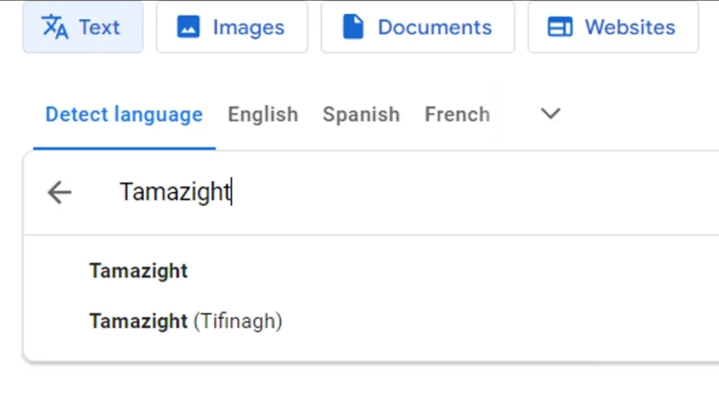 إضافة اللغة الأمازيغية إلى خيارات الترجمة في محرك البحث غوغل