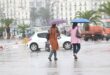 مصالح الأرصاد الجوية تحذر من أمطار رعدية غزيرة على الولايات الداخلية