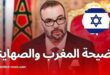 فضيحة جديدة: المغرب يشتري أقمار تجسس إسرائيلية بقيمة مليار دولار من طراز Ofek 13