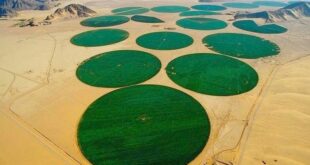وزارة الفلاحة تعلن عن موعد انطلاق المشروع الزراعي الجزائري الإيطالي