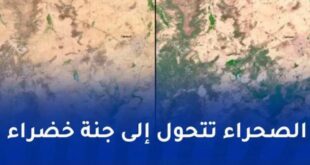 أمطار إعصار مداري تحوّل الصحراء الكبرى إلى خضرة ظاهرة مناخية نادرة تعيد الحياة للمنطقة