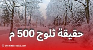 توقعات الطقس في الجزائر: هل سيشهد الأسبوع المقبل تساقط ثلوج على ارتفاع 500 متر؟