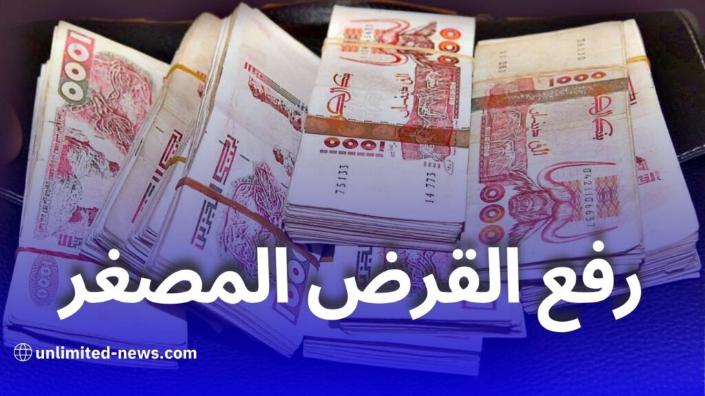 مراجعة تسقيف القرض المصغر في الجزائر: اقتراح لرفع قيمته لدعم المستثمرين